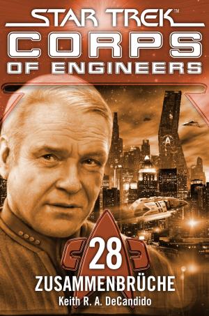 Cover of the book Star Trek - Corps of Engineers 28: Zusammenbrüche by Richard Castle