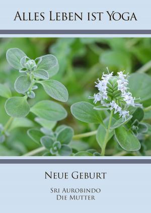 Cover of the book Neue Geburt by Erika Borchardt