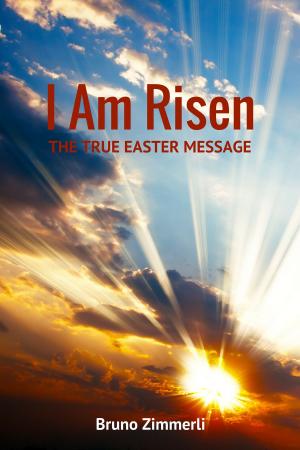bigCover of the book I Am Risen by 