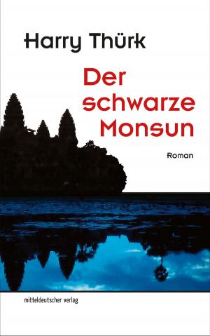 Cover of Der schwarze Monsun
