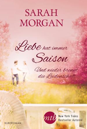Cover of the book Und wieder brennt die Leidenschaft by Carol Burnside