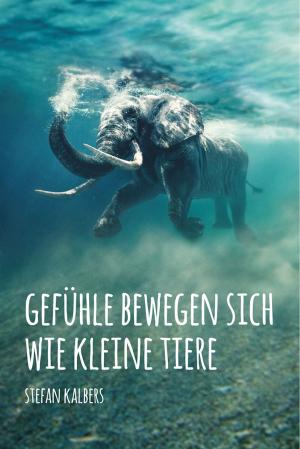 Cover of the book Gefühle bewegen sich wie kleine Tiere by Christian Ritter