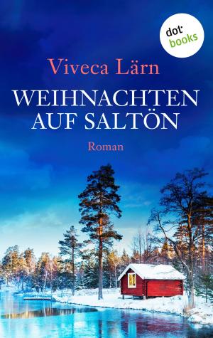 Book cover of Weihnachten auf Saltön