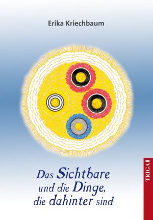 Cover of the book Das Sichtbare und die Dinge, die dahinter sind by Hans-Peter Rinke, Hans-Peter Rinke
