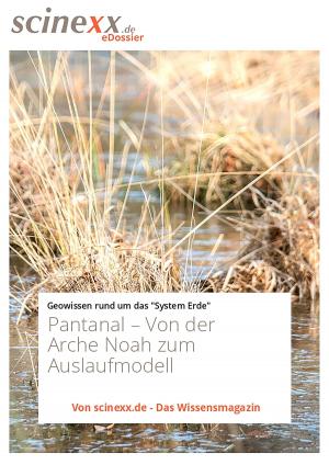 Cover of the book Pantanal by Nadja Podbregar