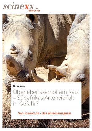 Cover of Überlebenskampf am Kap