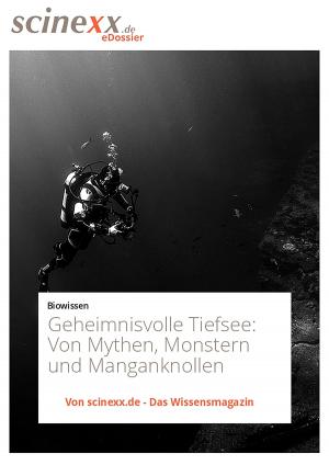 Cover of the book Geheimnisvolle Tiefsee by Katja Freiheit