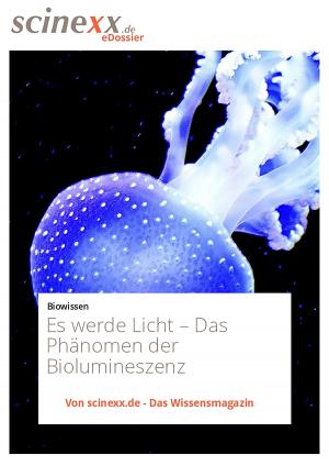 Cover of the book Es werde Licht… by IntelligentHQ.com