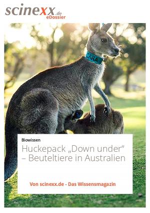 Book cover of Huckepack "Down under"