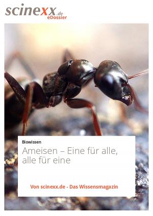 Cover of the book Ameisen by Nadja Podbregar