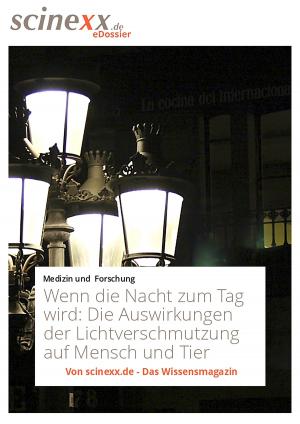 Cover of the book Wenn die Nacht zum Tag wird by Dieter Lohmann