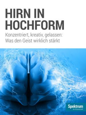 Cover of the book Hirn in Hochform by 