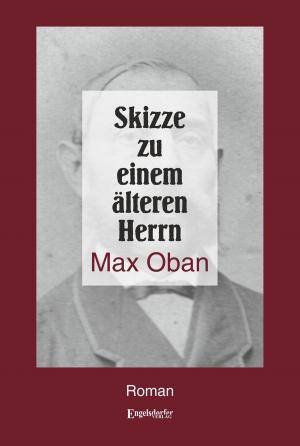 Cover of the book Skizze zu einem älteren Herrn by Frank Mehler