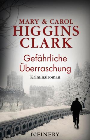 Cover of the book Gefährliche Überraschung by Christine Brückner