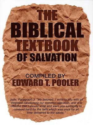 Cover of the book The Biblical Textbook of Salvation by Norbert Heckelei