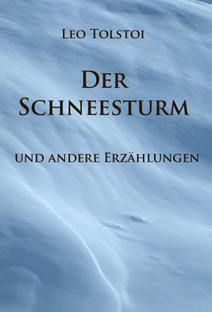 Cover of the book Der Schneesturm by Maurice Leblanc