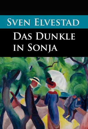 Book cover of Das Dunkle in Sonja