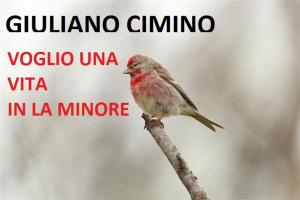 Book cover of Voglio Una Vita In La Minore