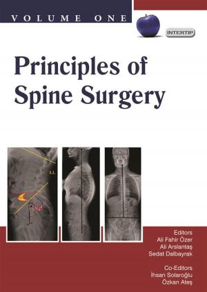 Cover of the book Principles of Spine Surgery by Peter Kloen, Ren K. Marti