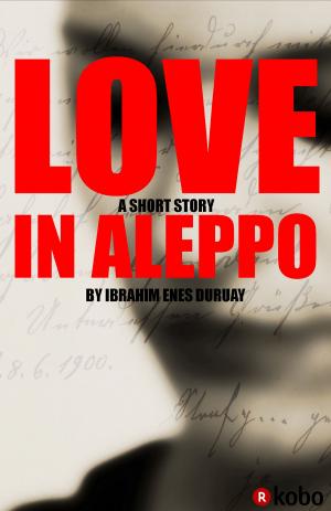 Cover of the book Love in Aleppo by Amanda Siegrist
