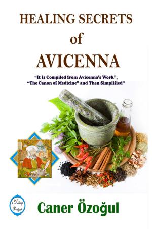 Cover of the book Healing Secrets of Avicenna by Halil Erdem