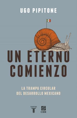 Cover of the book Un eterno comienzo by Martha Givaudan, Delil Athié