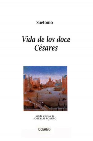 Cover of the book Vidas de los doce Césares by Brad Franco