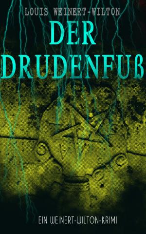 Cover of the book Der Drudenfuß (Ein Weinert-Wilton-Krimi) by I.B. Holder