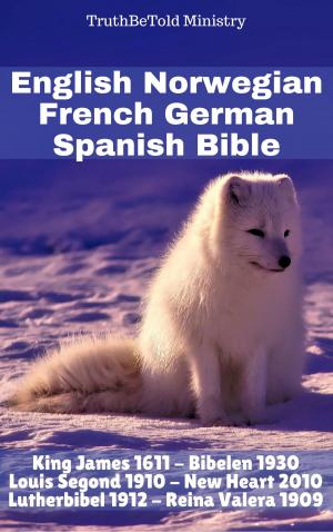 Cover of the book English Norwegian French German Spanish Bible by Harriet Beecher Stowe