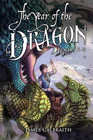 Book cover of The Year of the Dragon, Books 5-8 Bundle