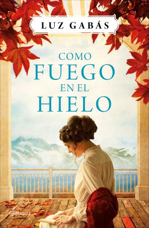 Cover of the book Como fuego en el hielo by Silvia García Ruiz