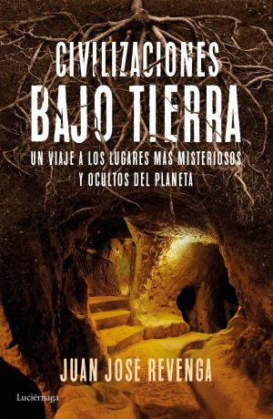 Cover of the book Civilizaciones bajo tierra by J.Halleman