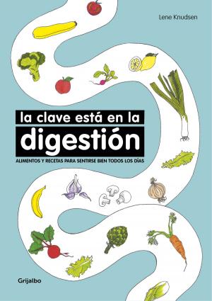 Cover of the book La clave está en la digestión by Ana Punset, Luján Santi & Sara