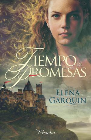 Book cover of Tiempo de promesas
