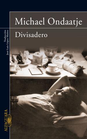 Cover of the book Divisadero by Marta Francés