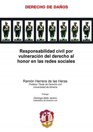 Cover of Responsabilidad civil por vulneración del derecho al honor en las redes sociales