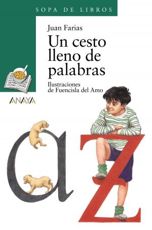 Cover of the book Un cesto lleno de palabras by Jonathan Swift, Lourdes Íñiguez Barrena