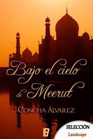 Cover of the book Bajo el cielo de Meerut by Agustina Guerrero
