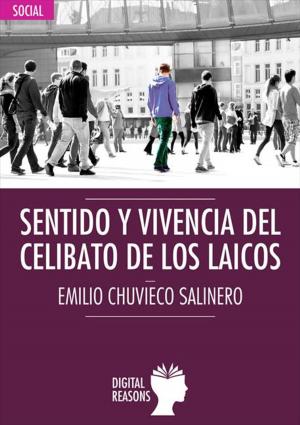 Cover of the book SENTIDO Y VIVENCIA DEL CELIBATO DE LOS LAICOS by José Manuel Moreno Villares