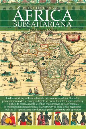 Cover of Breve historia del África subsahariana