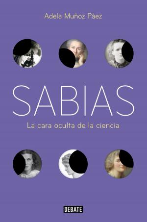 Cover of the book Sabias by Erik Axl Sund