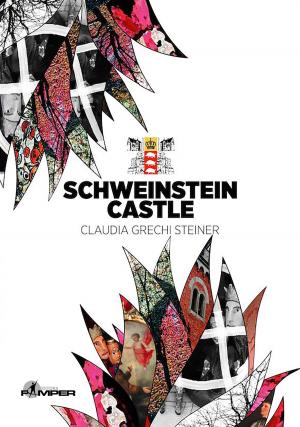 Book cover of Schweinstein Castle