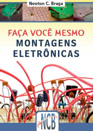 Cover of the book Faça você mesmo by Newton C. Braga