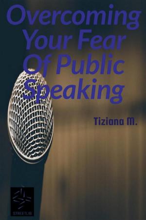 Cover of the book Overcoming Your Fear Of Public Speaking by Christine Seelye-King, Aimee DuFresne