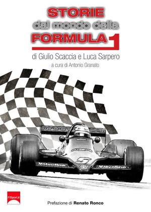 Cover of the book Storie dal mondo della Formula 1 by Jack Nelson