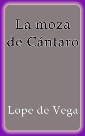 Book cover of La moza de cántaro