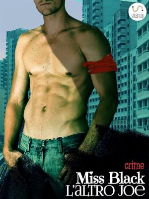 bigCover of the book L'altro Joe by 