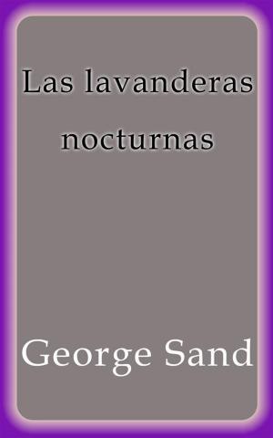 Book cover of Las lavanderas nocturnas