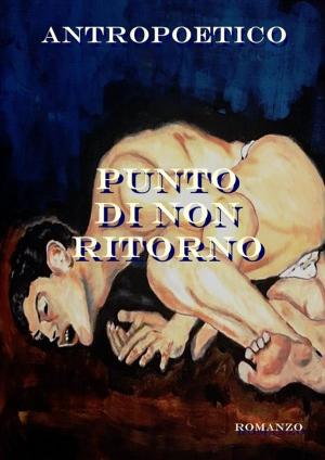 Cover of the book Punto di non ritorno by Maxine Thompson