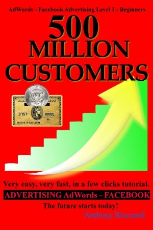 Cover of the book 500 million customers by Marilyn McLeod